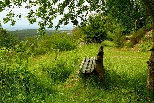 双重成熟 双重成熟