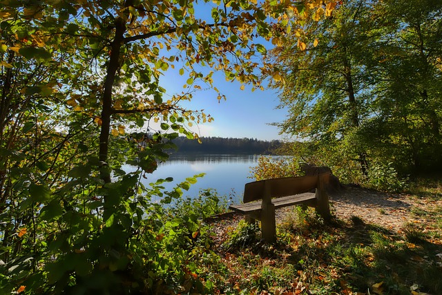 這無疑是對 這無疑是對